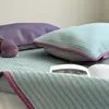 Juego de Tres Piezas de Mat de Enfriamiento de Seda de Leche y Seda de Hielo para Verano, para Uso en Casa, Colchoneta Refrigerante para Aire Acondicionado, Sábana Refrigerante para Cama, Colchoneta Suave Lavable a Máquina, Almohadilla Refrigerante de Verano