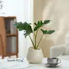 Ins Jiuli Escandinavo Planta Verde Fragante en Maceta Florales Oficina Sala de Estar Escritorio Interior Adornos Purificar el Aire y Eliminar Formaldehído