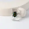 Especímenes Delgados de Insectos Reales, Adornos de Escritorio de Animales Reales, Escorpiones, Tortugas Doradas, Cigarras, Materiales Didácticos para Niños, Manualidades de Resina