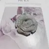 Verão novo joia completa de diamante rosa diy acessórios acessórios para sapatos femininos Coringa acessórios fixadores fabricantes atacado