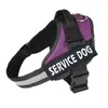 Arnés para Correa de Mascota Más Vendido de Amazon, Correa tipo Chaleco Anti-Shock para Perro, Arnés K9, Venta Directa del Fabricante