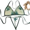 Sexy Ropa Íntima Sexy Francesa Multicolor, Tentación Apasionada, Encaje Bordado Transparente con Cordones de Tres Puntos, Exportación Europea y Americana 14152