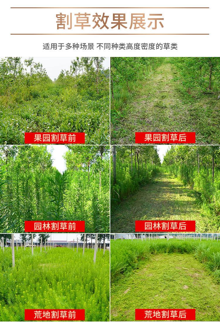 遥控割草机模板8.jpg