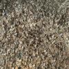 Picador de galhos de bambu úmido, triturador de lascas de madeira para folheado, picador de madeira automático de alimentação grande