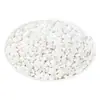 Flor de árido ligero uso de base para tapete de pavimentación relleno posterior de árido ligero baño plantar flores piedra suculentas plantas en maceta guijarros blancos pequeños paisajismo de patio