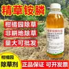 Pesticida para Huertos de Cítricos, Herbicida para Matar Pasto Seco y Pudrición de Raíz, Sal Amónica de Glufosinato al 10%, Herbicida No Agrícola, Glufosinato