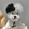 Peruca para Gatos e Cachorros, Estilo de Cabelo Afro Universal, Fantasia Divertida de Bruxa Preto e Branco para Cosplay [Processamento Personalizado]