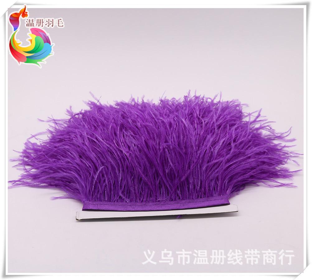 34 0-34 purple ostrich feather