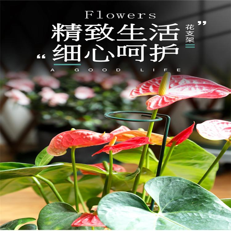 O1CN01BAwtV31GnWnXchQc5_!!2273