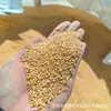 Areia Dourada Sem Lavagem para Paisagismo de Aquário, Areia de Fundo para Aquários, Tanques com Plantas, Micro-Paisagens Aquáticas e Terrestres, Areia Fina de Rio, Areia Dourada