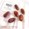 Pacote de Material de Flores Secas Espécime Jardim de Infância Casca de Fruta Caseira Flor Seca Bolota Porta-Retrato Espécime Pinha Porta-Retrato DIY Feito à Mão