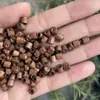 Materiais DIY, Diversas Contas de Madeira, Contas de Madeira em Formato de Oliva, Joias Artesanais, Acessórios de Contas Tubulares de Madeira Marrom