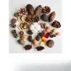 Decoración de Cáscara de Nuez DIY Material de Flor Seca Exhibición de Espécimen Vegetal Marco de Fotos Piña Seca Hecha a Mano Rodaja de Roble Material de Bolsa de Fruta Seca