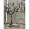 Ramas de árbol secas para paisajismo, árboles de los deseos, árboles muertos, decoraciones de patios interiores, ramas de árbol, troncos y árboles decorativos.