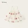 Ropa para Niños Bangxuan Estilo Primavera Cárdigan de Punto para Niñas, Falda de Malla, Conjunto de Dos Piezas con Falda para Niños, Conjunto de Vestido para Niñas