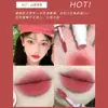 Lama Labial Veludo Fosco Batom Oem Brilho Labial Lama Labial Processamento Odm Personalizado Brilho Labial Estilo Ins