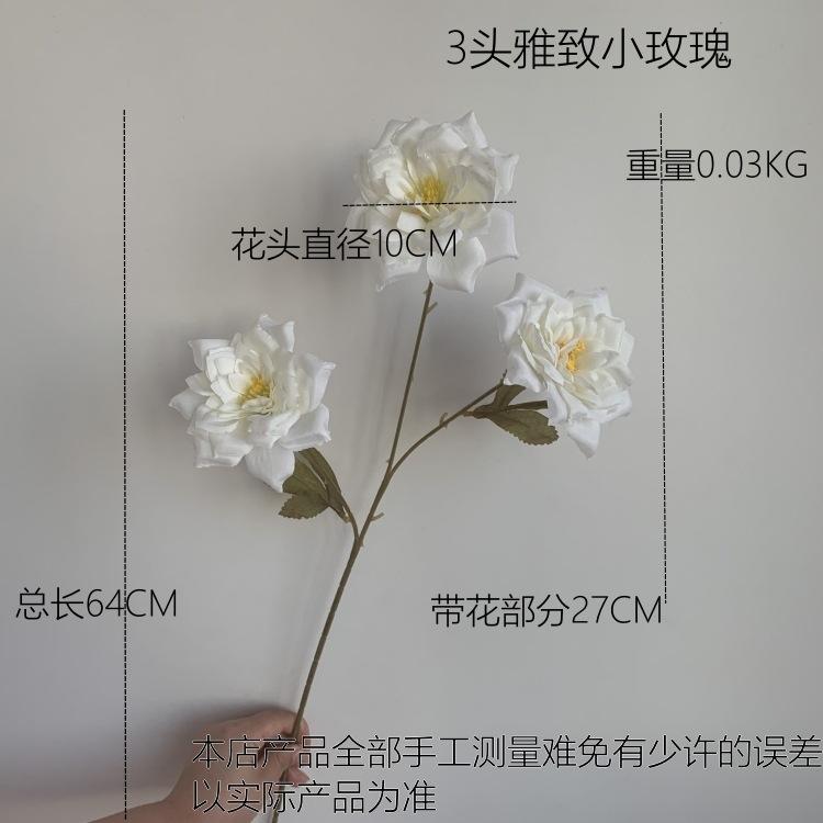 尺寸图