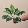 Hojas artificiales de Monstera y Alocasia para paisajismo de jardines, arreglos de plantas verdes para hoteles, centros comerciales y decoración del hogar, plantas en maceta