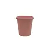 Vaso Quadrado para Suculenta Echeveria 'Hortula', Vaso de Plástico, Branco e Rosa