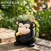 Oso Lindo Pequeño Planta Suculenta de Miel Maceta Pequeña Exquisita Adorno Lindo para Balcón Escritorio Decoración Floral para el Hogar