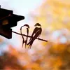 Suministro Transfronterizo de Estación Independiente Silueta de Pájaro Búho Colibrí Pájaro Carpintero Petirrojo Serie Silueta de Pájaro Enchufe para Jardín