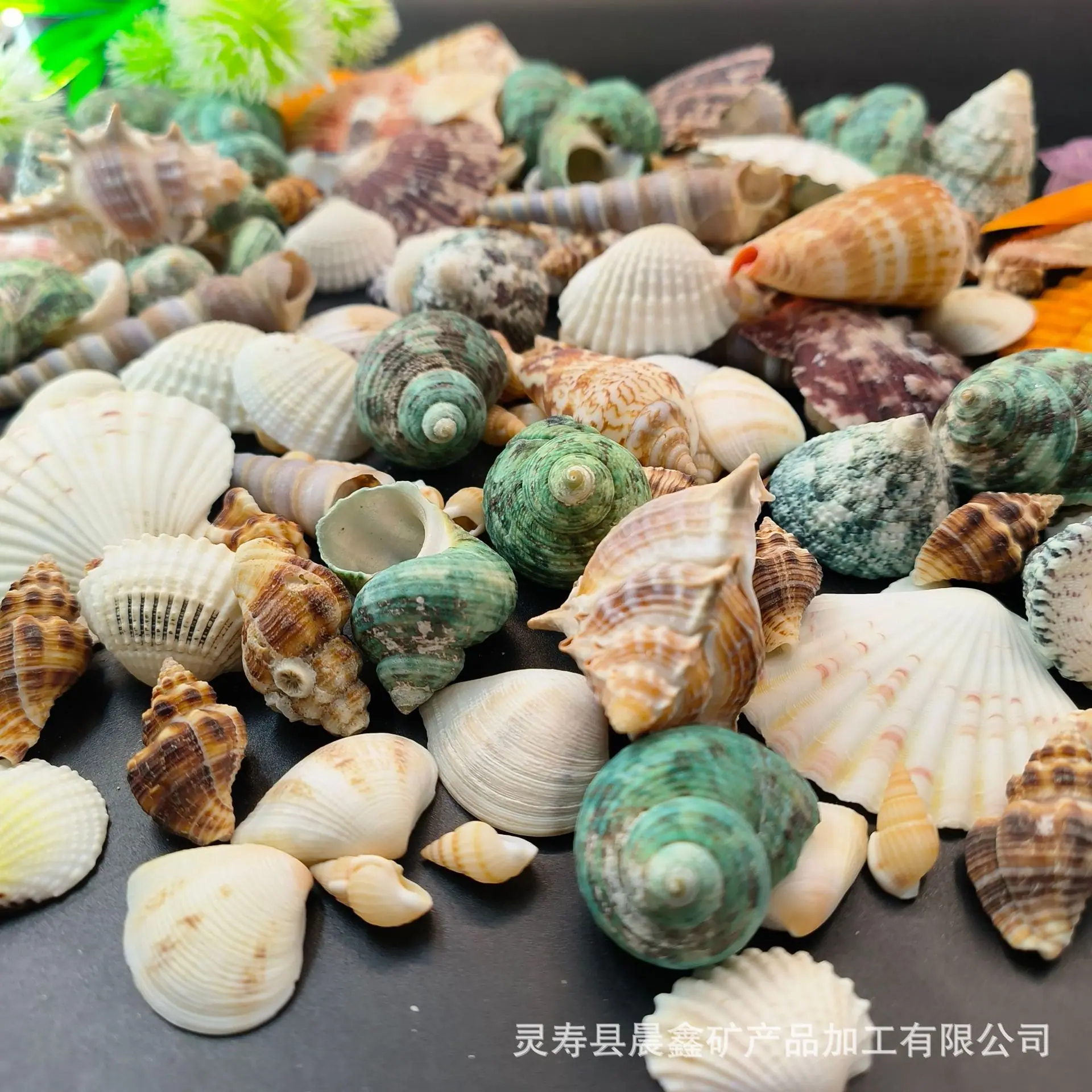 微信图片_20260416141214_93_5.jpg