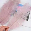 30-35cm Plumas de Avestruz Lámpara de Plumas Arreglo Floral de Plumas de Avestruz Plumas de Boda