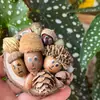 Planta Fruta Cáscara Muñeca Yunnan Dali Cangshan Fruta Hongo Silvestre Imán para Refrigerador Fruta Bosque Hecho a Mano Regalo