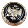 Botão de Metal com Gota de Óleo Águia Britânica Botão para Blazer College Casaco Casaco Fivela Versátil para Cardigã Suéter Top Masculino e Feminino