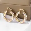 [Transfronterizo] Pendientes Geométricos Retorcidos Chapados en Cobre Dorado Estilo Europeo y Americano Anillo Retorcido Pesado Personalizado Tubo Retorcido Suministro Directo de Fábrica en Stock