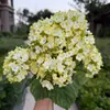 Juego de 7 flores de hortensia artificiales, perfectas para arreglos florales de boda, decoraciones de pared, decoraciones de pasillo, arreglos de suelo, exhibiciones florales de exterior y decoraciones de salón de bodas