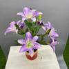 Simulação 3D pano macio 7 pequeno lírio sentir lírio flor artificial casa flor decorações ornamentos flor