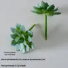 Planta Suculenta Simulada Bonsai de Planta Flocagem Mini Suculenta Artificial Falsa Acessórios Planta Verde DIY Decoração de Casa Enfeites
