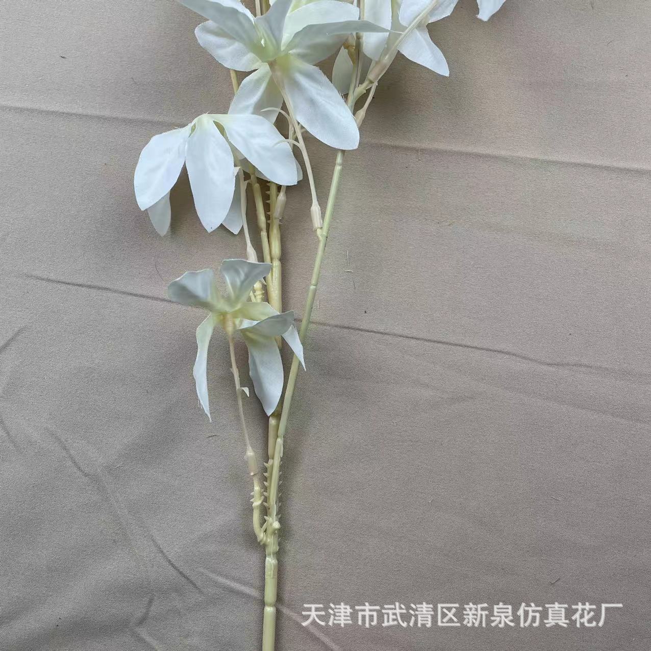 19d50dae60975910bea27d7937aa15