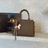 Bolso Pequeño Cuadrado Casual de Nicho Estilo Coreano para Mujer, Nuevo Elegante Bolso de Hombro Cruzado de Alto Valor Primavera 2026