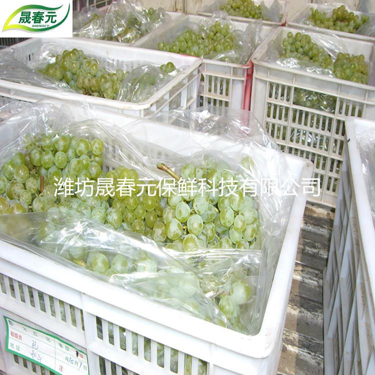 99ec710a3011cc82b8980e6526337e