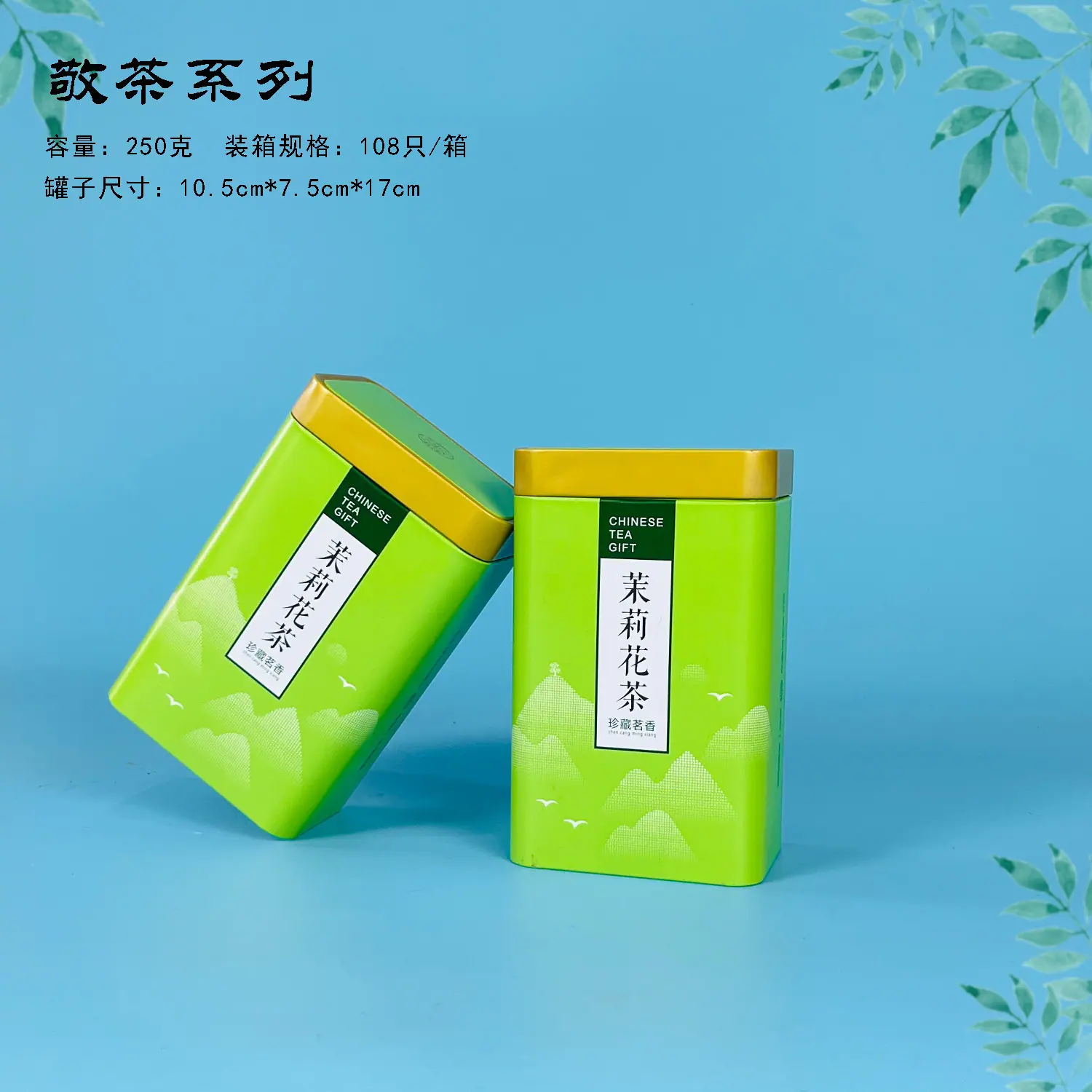 敬茶绿茉莉花