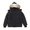Jaqueta de Penas de Ganso Grande para Comércio Exterior 29 Parka Masculina Wyndhaw Canadense com Gola de Pelo de Lobo