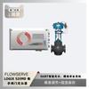 Posicionador de Válvula Digital Flowserve Logix 3200Md com Válvula de Regulagem Wuzhong Instrument