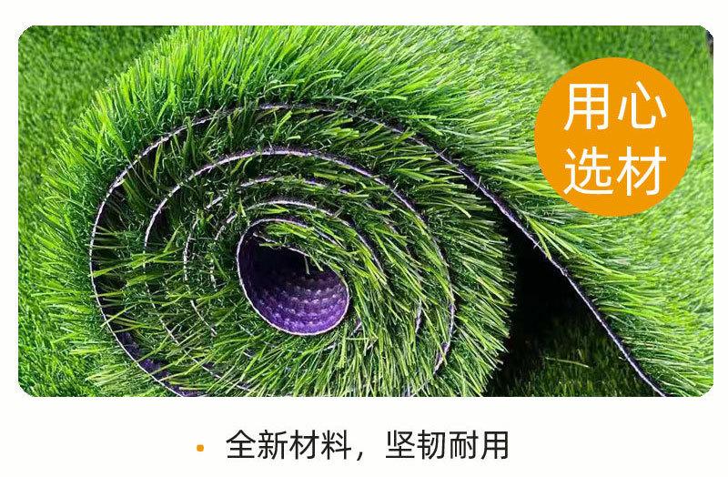 仿真草坪_06.jpg