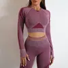 Conjunto Deportivo Europeo y Americano de Manga Larga, Pantalón Largo, Sujetador, Top Fitness, Chaleco, Tejido, Ropa de Yoga para Mujer