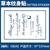 Pegatina de tatuaje de hierbas con diseño de planta de jugo, nombre en inglés, para hombres y mujeres, impermeable, de larga duración, simulación