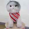 Suministros Navideños para Mascotas Capa de Gato Bufanda para Disfrazar Perro Toalla Antideslizante Capa para Perro Pequeño Ropa Navideña para Mascotas