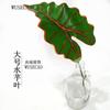 Simulación de hoja de tortuga, planta verde, fondo, decoración de pared, planta, hojas de pared, pegamento, varilla larga, tela de seda, hoja, exposición de ingeniería