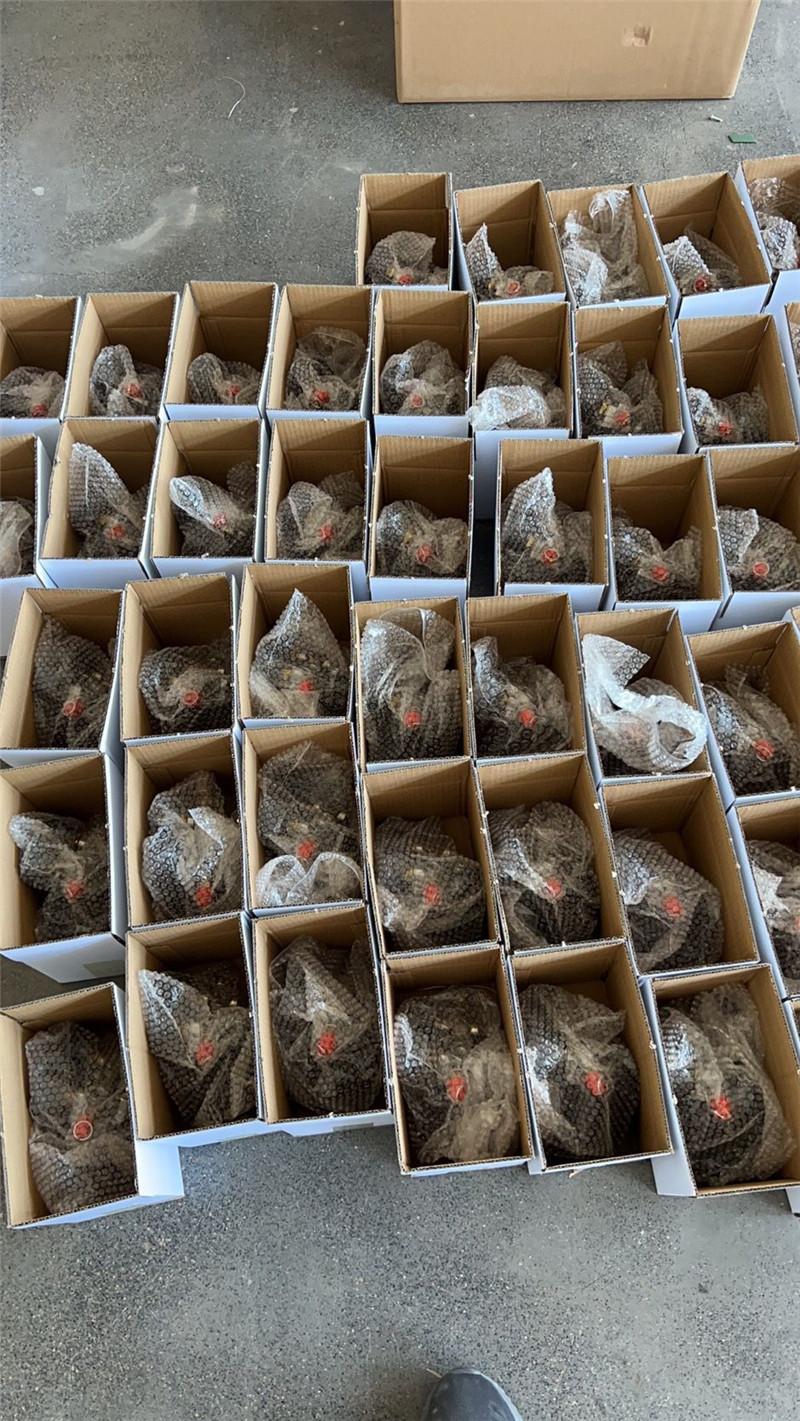 QQ图片20230403235422