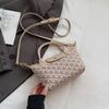Bolso Casual para Viajero Mujer Nueva Tendencia de Moda Diseño de Nicho Bolso de Hombro Estilo Coreano Bolso Cruzado Versátil de Gama Alta
