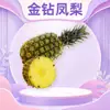 Piña Dorada de Hainan Dropshipping Fruta de Piña Fresca Caja de Regalo Tian Di Gai Pulpa Tierna Fruta Fresca para Regalar