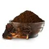 Extracto de Chaga Polvo de Chaga Polisacárido/Triterpeno de Chaga/Multiespecificación 10:1 punto de fábrica al por mayor
