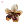 Nuevo Clip de Huevo con Flores Qiyue Moda Impresión UV Pasador de Orquídea Florale Clip de Tiburón Creativo Europeo y Americano