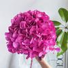 Flor eterna Anna Hortensia Flor Seca Ramo al por mayor Decoración del hogar Cafetería Bar Decoración de la mesa del comedor